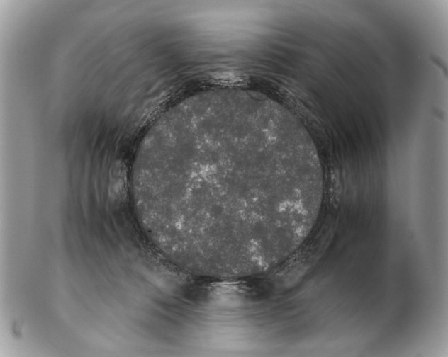 X0000102470320200809051339