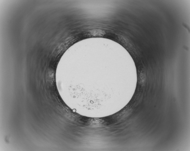 X0000102470321200809051339