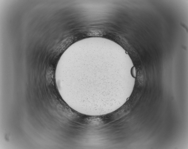 X0000102470322200809051339
