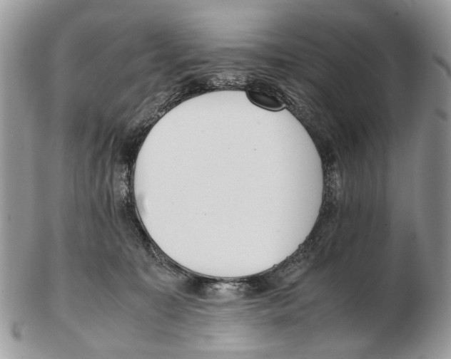X0000102470323200809051339