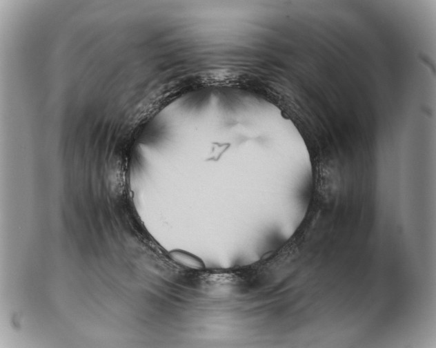 X0000102470324200809051339