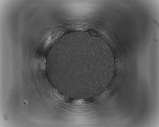 X0000102470325200809051339