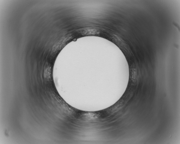 X0000102470326200809051339