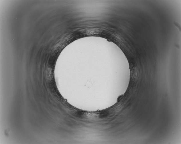X0000102470327200809051339