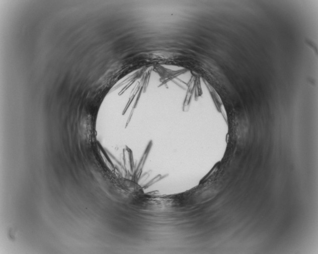 X0000102470328200809051339