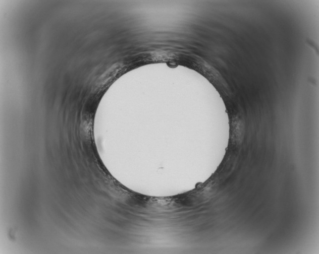 X0000102470329200809051339