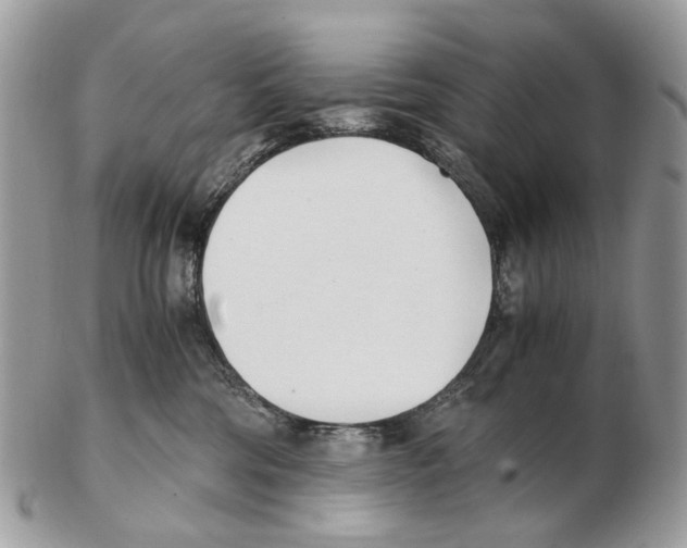 X0000102470330200809051339