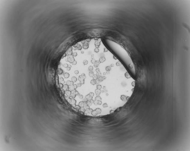 X0000102470332200809051339