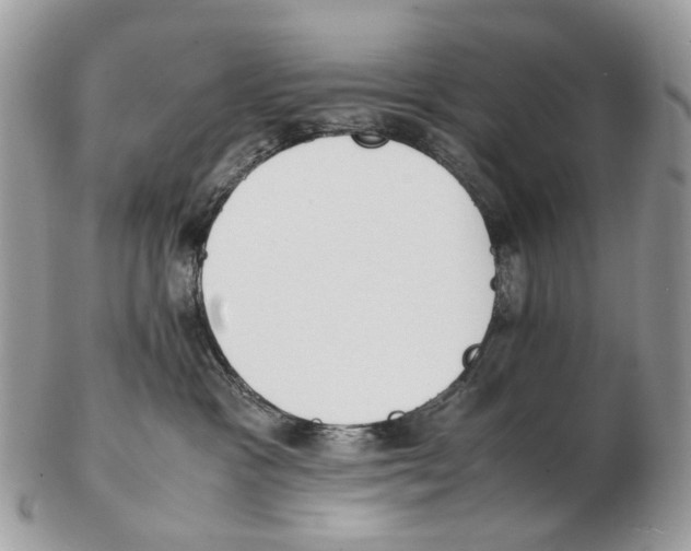X0000102470333200809051339