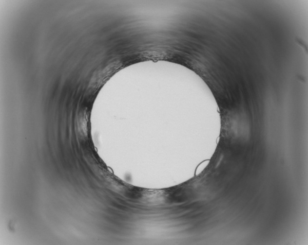 X0000102470334200809051339