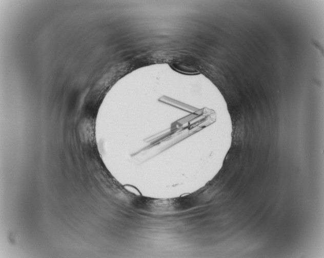 X0000102470335200809051338