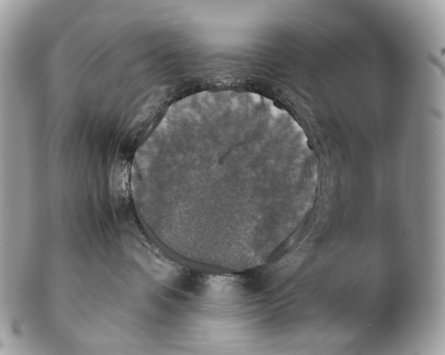X0000102470336200809051338