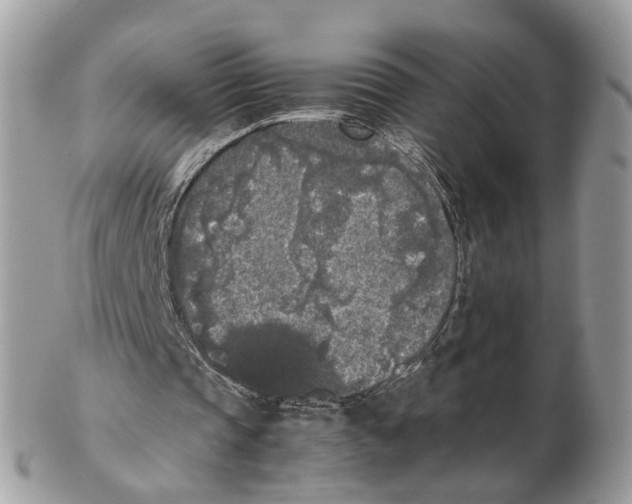 X0000102470337200809051338