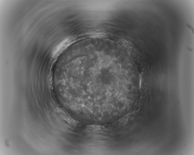 X0000102470339200809051338