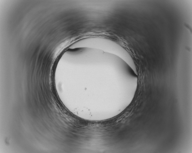 X0000102470340200809051338