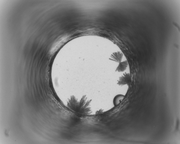 X0000102470341200809051338