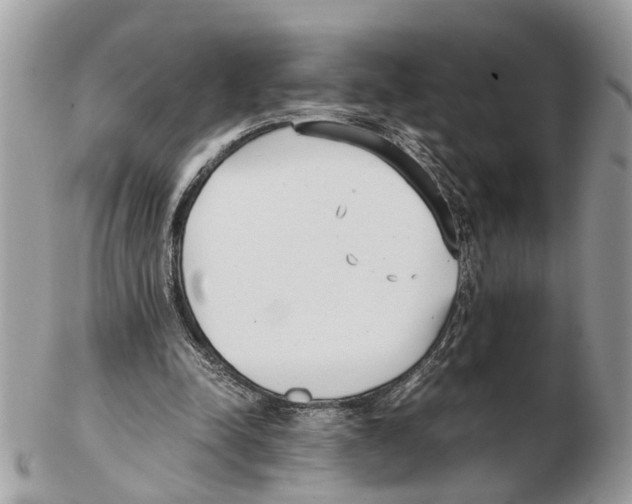 X0000102470342200809051338