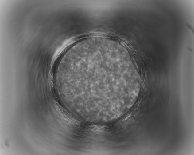 X0000102470343200809051338
