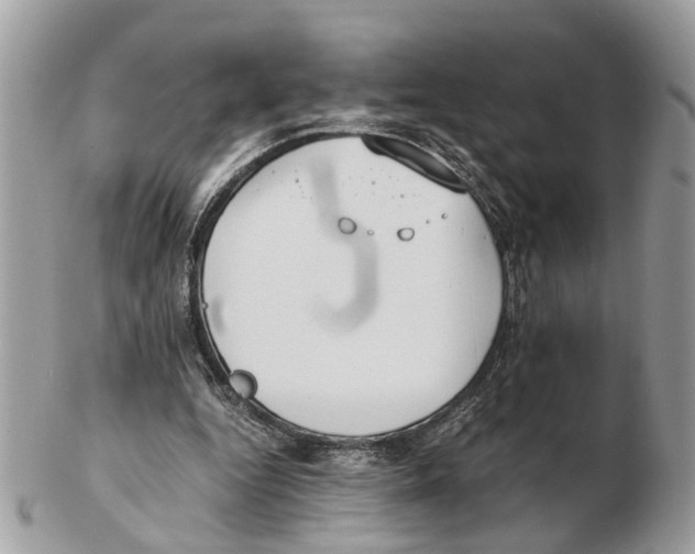 X0000102470344200809051338