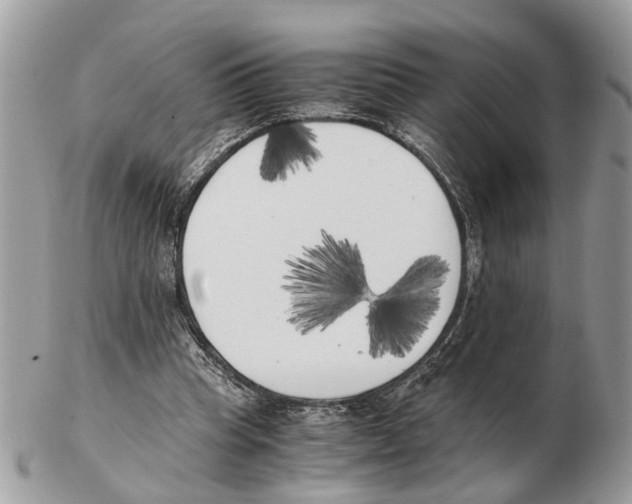 X0000102470345200809051338