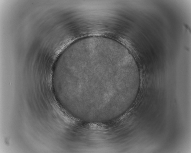 X0000102470346200809051338