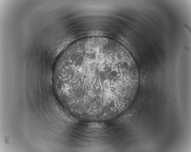 X0000102470347200809051338