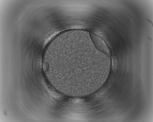 X0000102470348200809051338