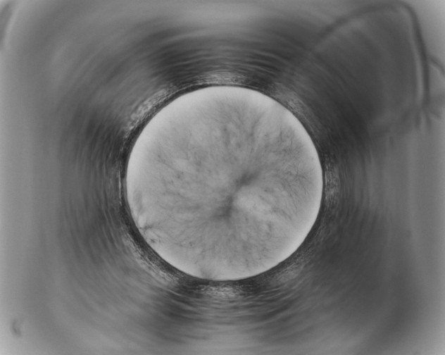 X0000102470349200809051338