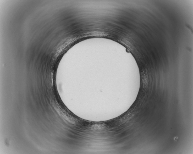 X0000102470350200809051338