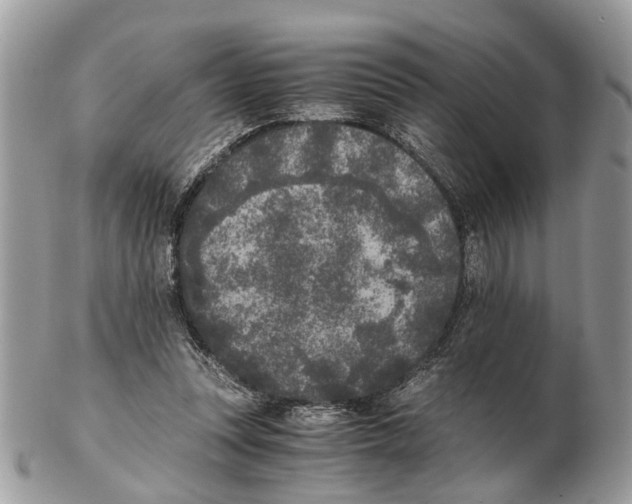 X0000102470351200809051338
