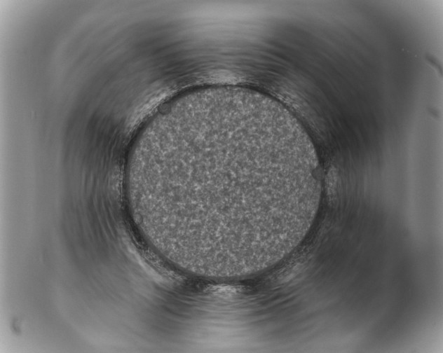 X0000102470352200809051338