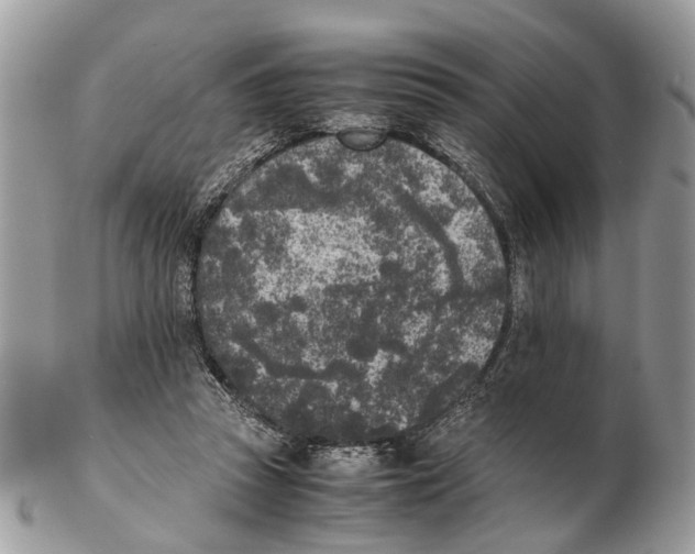 X0000102470353200809051338