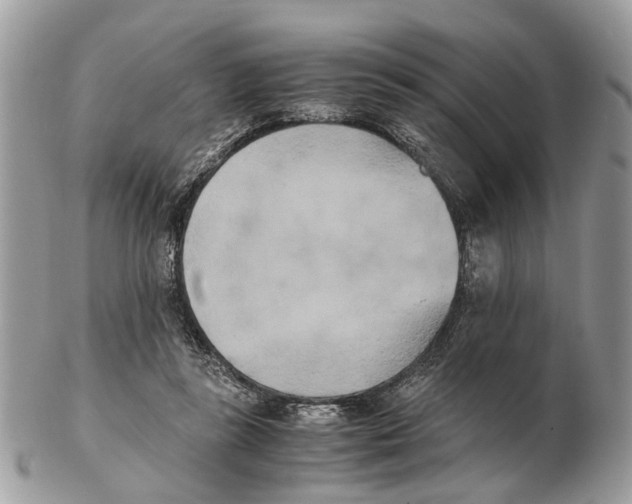 X0000102470355200809051338