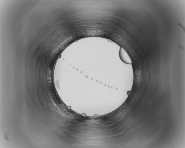 X0000102470356200809051338