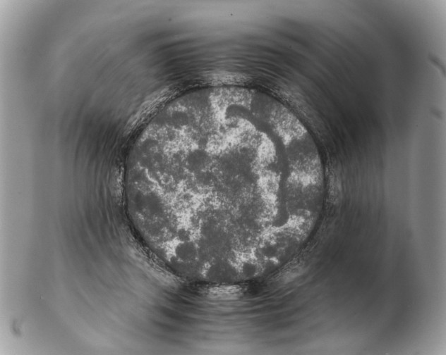 X0000102470357200809051338