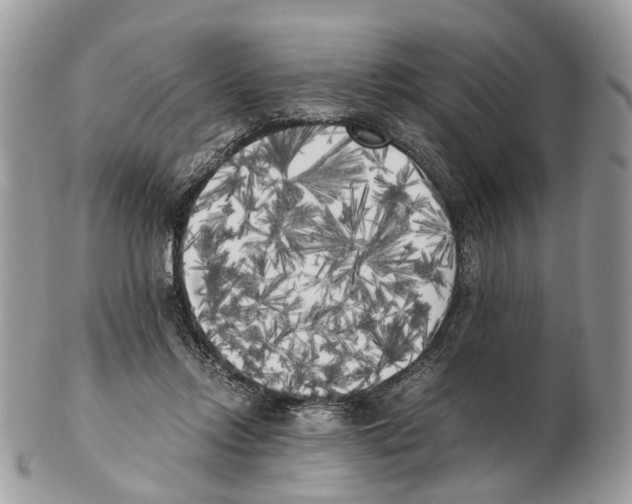 X0000102470358200809051338