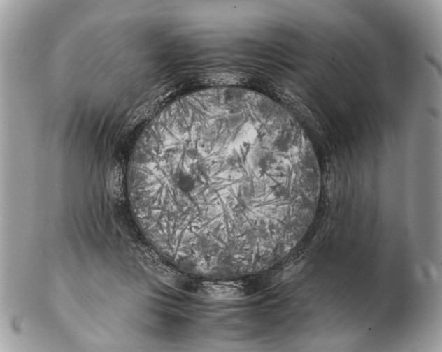 X0000102470359200809051338