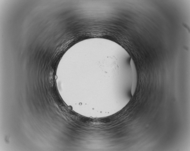 X0000102470360200809051338