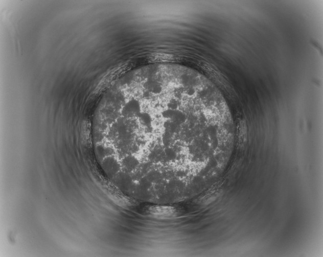 X0000102470361200809051338