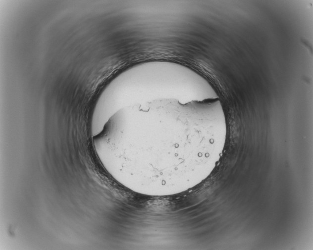 X0000102470362200809051338