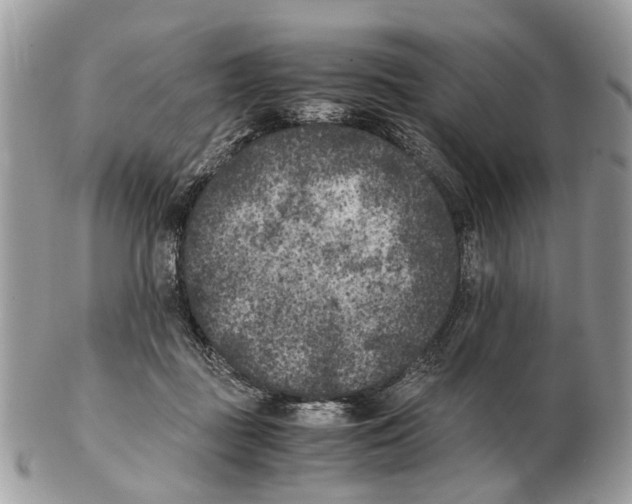 X0000102470363200809051338