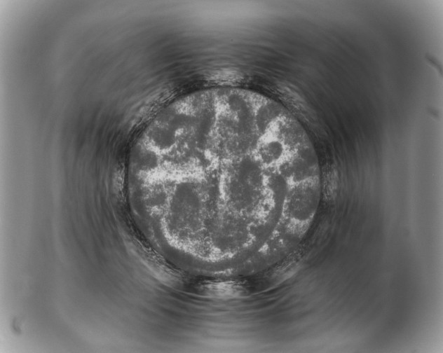 X0000102470365200809051338