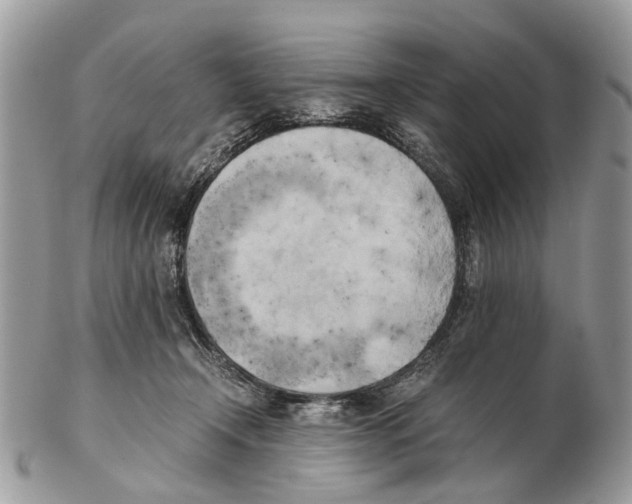X0000102470366200809051338