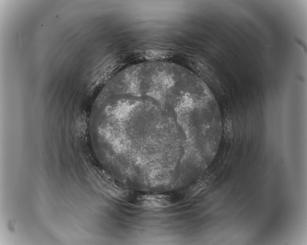 X0000102470367200809051338
