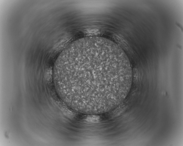 X0000102470369200809051338