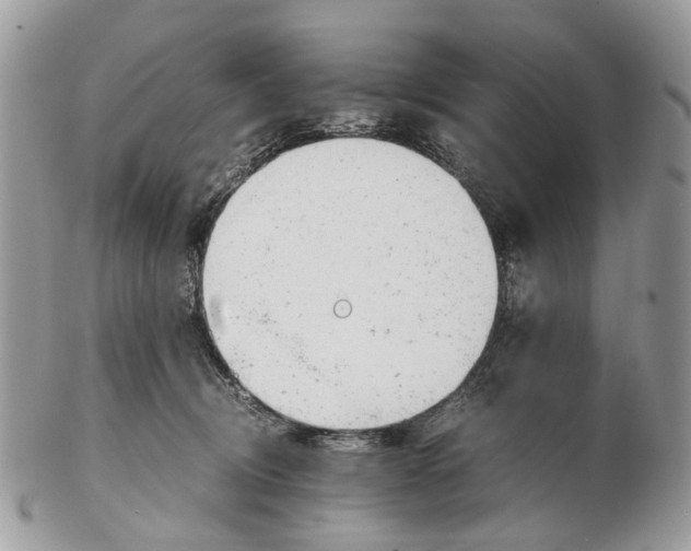 X0000102470370200809051338