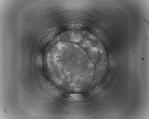 X0000102470371200809051338