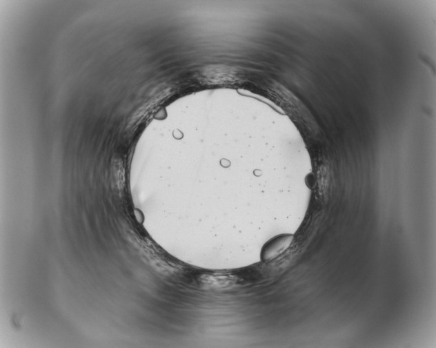 X0000102470372200809051338