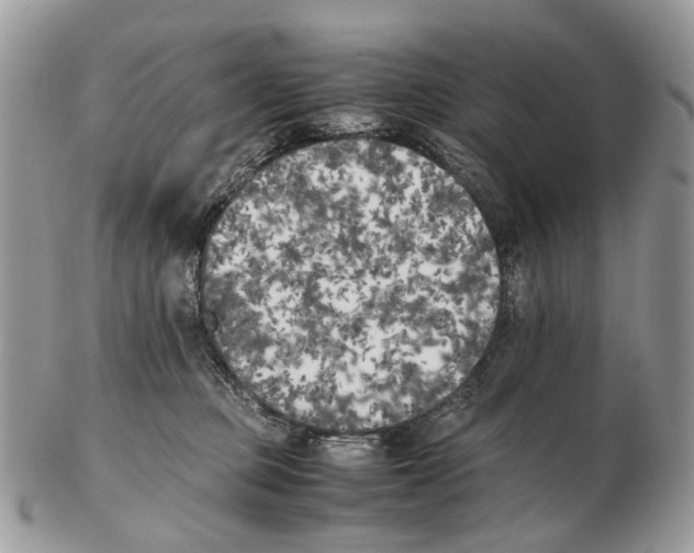 X0000102470373200809051338