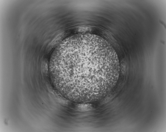 X0000102470375200809051338